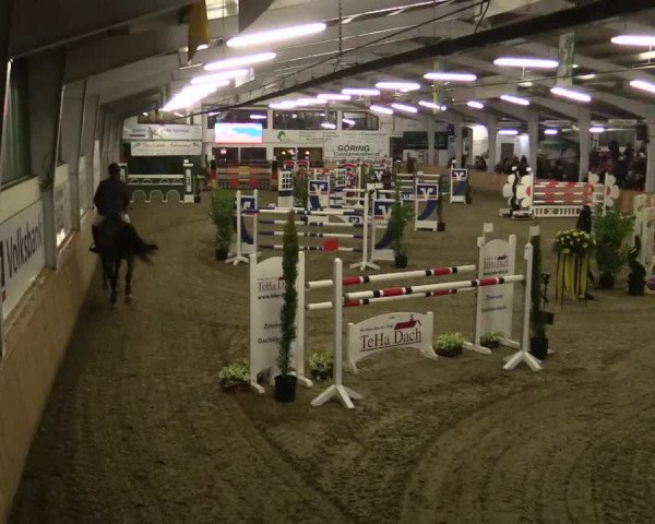 Reitturnier Vreden 2019