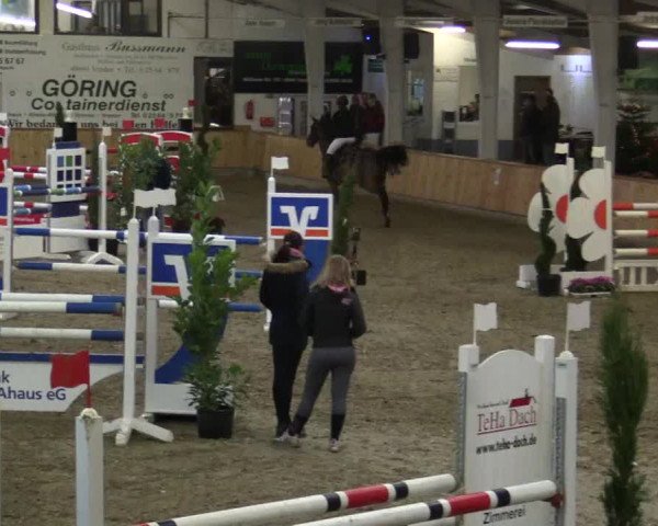 Reitturnier Vreden 2019