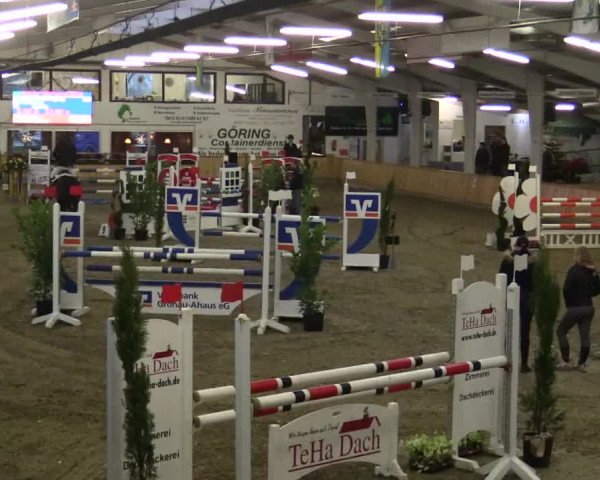 Reitturnier Vreden 2019