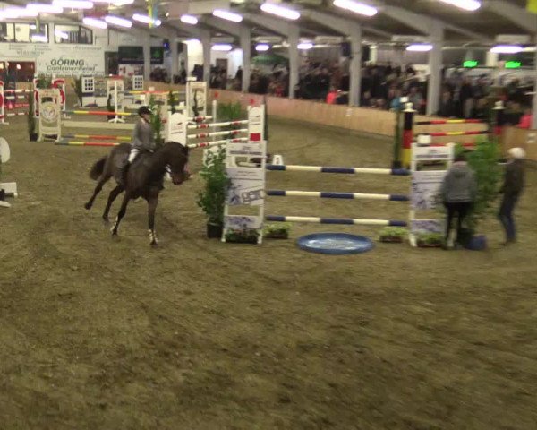 Reitturnier Vreden 2019