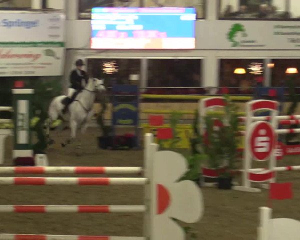 Reitturnier Vreden 2019