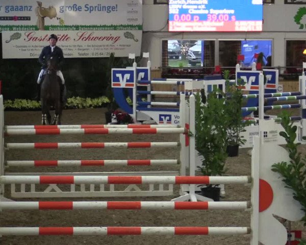 Reitturnier Vreden 2019