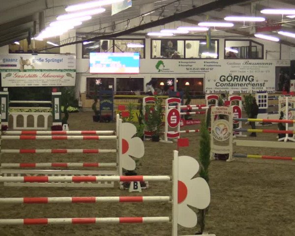 Reitturnier Vreden 2019