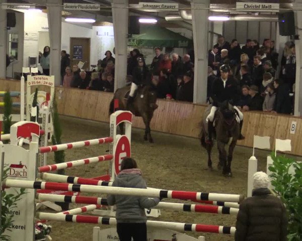Reitturnier Vreden 2019
