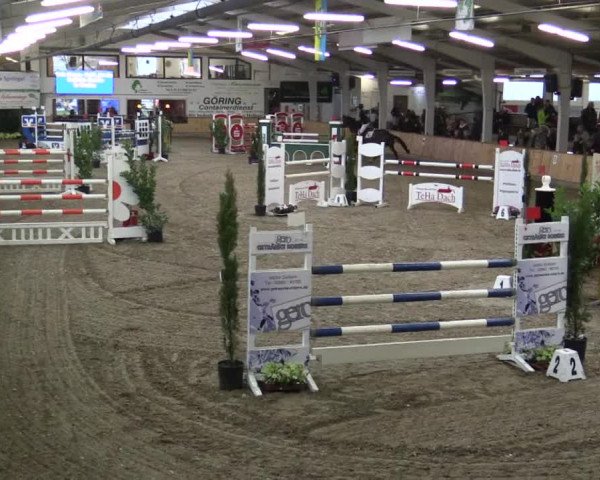 Reitturnier Vreden 2019