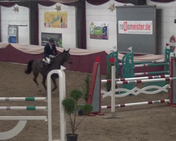 Reitturnier Eppelheim 2019