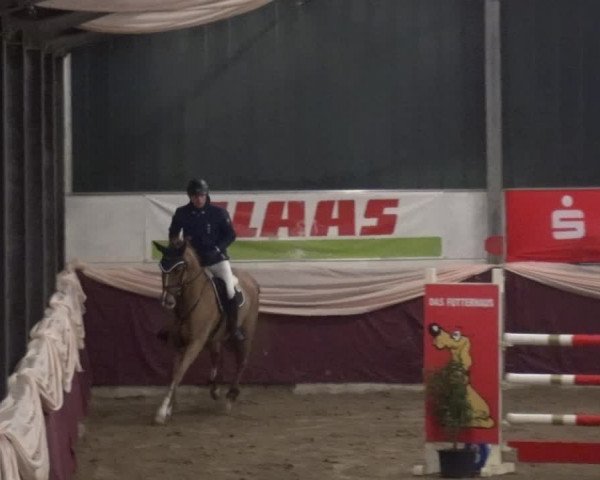 Reitturnier Eppelheim 2019