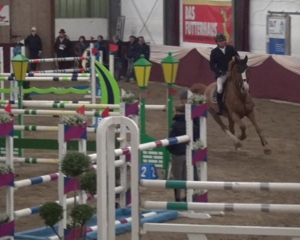 Reitturnier Eppelheim 2019