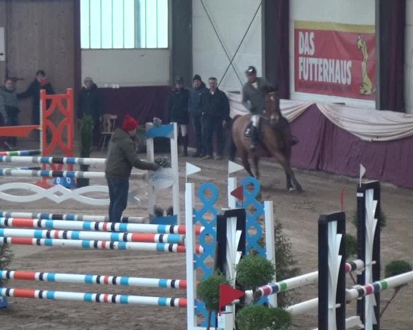 Reitturnier Eppelheim 2019