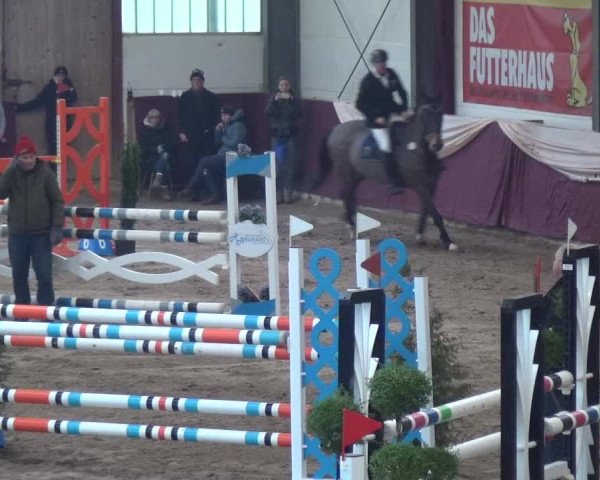 Reitturnier Eppelheim 2019