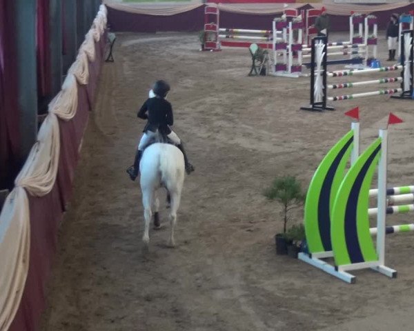 Reitturnier Eppelheim 2019