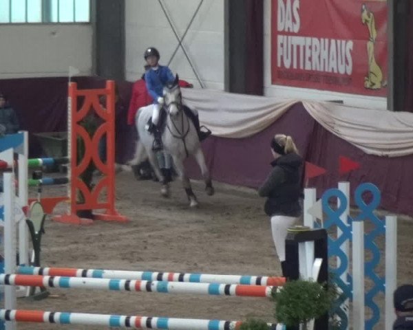 Reitturnier Eppelheim 2019