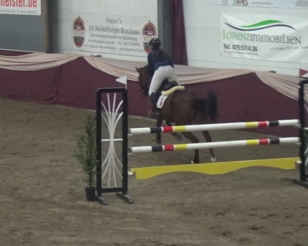 Reitturnier Eppelheim 2019