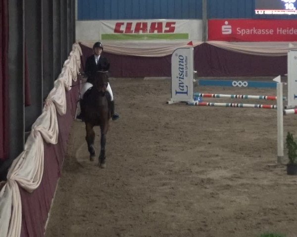 Reitturnier Eppelheim 2019