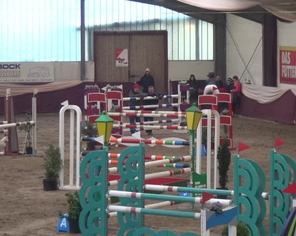 Reitturnier Eppelheim 2019