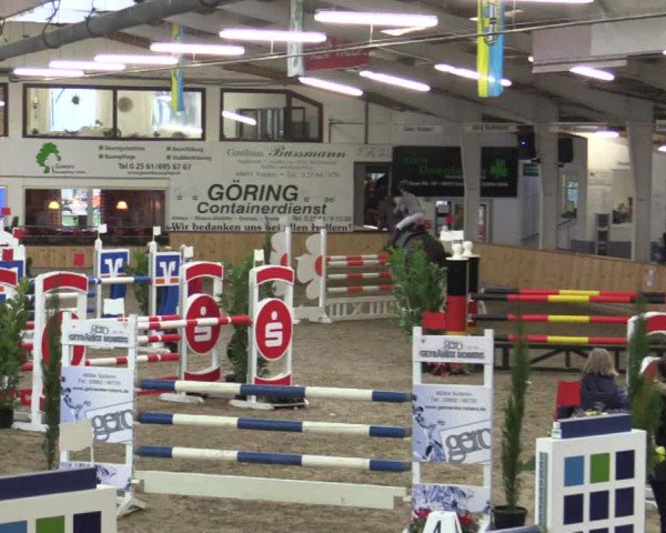 Reitturnier Vreden 2019