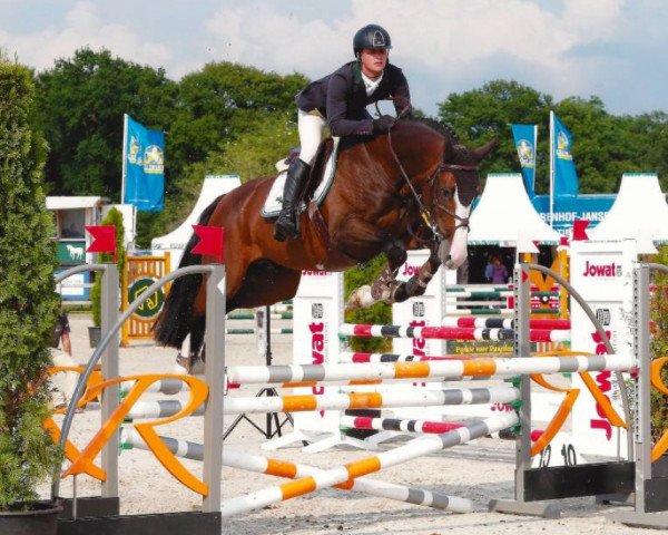 jumper Evert (KWPN (Royal Dutch Sporthorse), 2009, from VDL Harley)