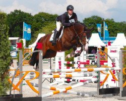 jumper Evert (KWPN (Royal Dutch Sporthorse), 2009, from VDL Harley)
