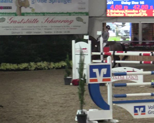 Reitturnier Vreden 2019