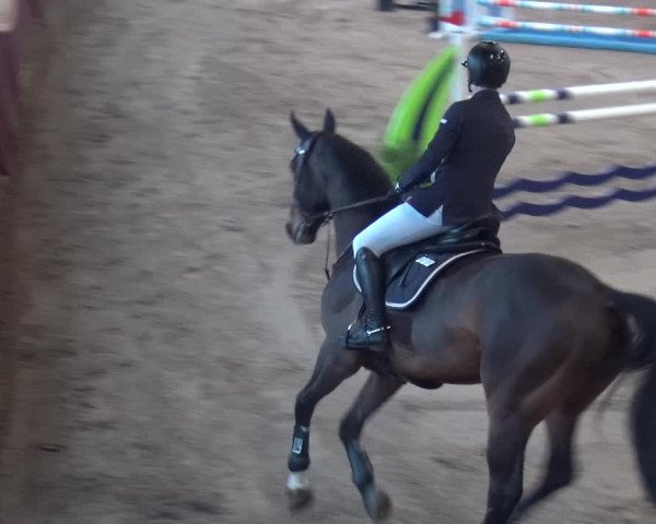 Reitturnier Eppelheim 2019