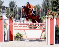 jumper Hopes Are High Z (Zangersheide riding horse, 1999, from Highvalley)