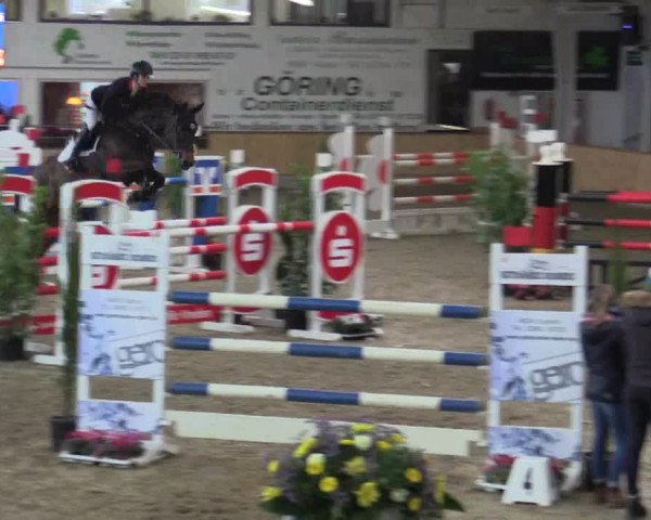 Reitturnier Vreden 2019