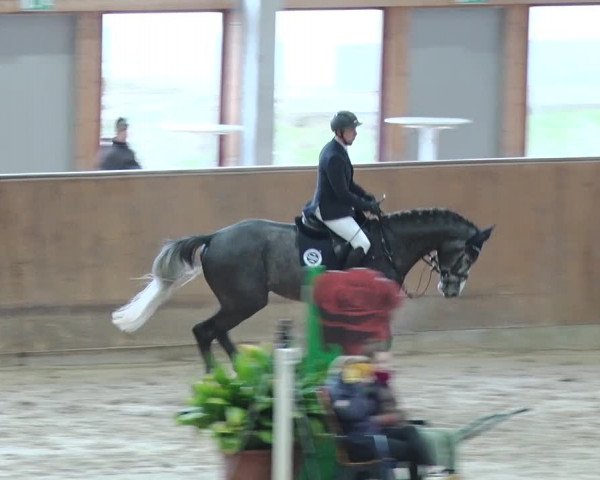Reitturnier Prussendorf 2019