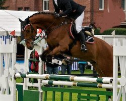 jumper Zenturio 19 (Oldenburg show jumper, 2008, from Zento)