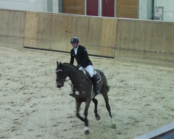 Reitturnier Prussendorf 2019