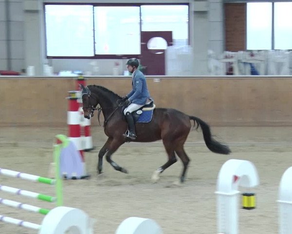 Reitturnier Prussendorf 2019