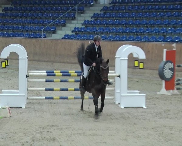 Reitturnier Prussendorf 2019