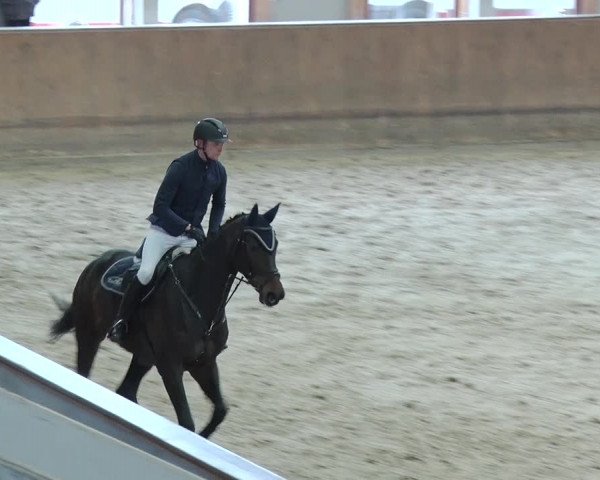 Reitturnier Prussendorf 2019