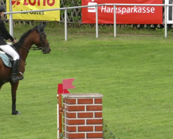 Reitturnier Wernigerode 2021