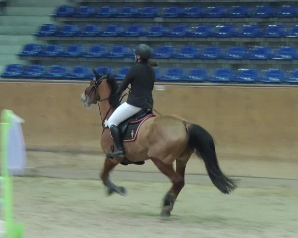 Reitturnier Prussendorf 2019