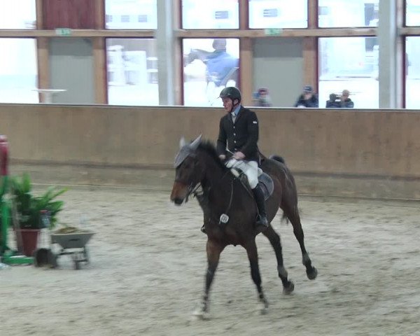 Reitturnier Prussendorf 2019