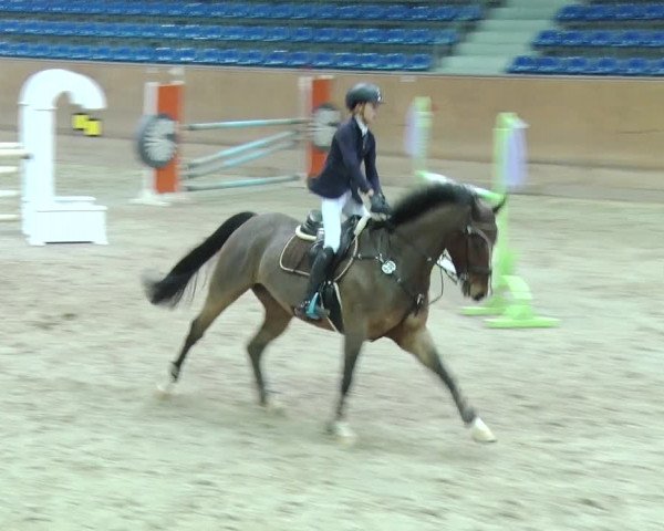 Reitturnier Prussendorf 2019
