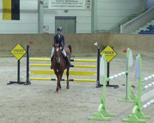 Reitturnier Prussendorf 2019