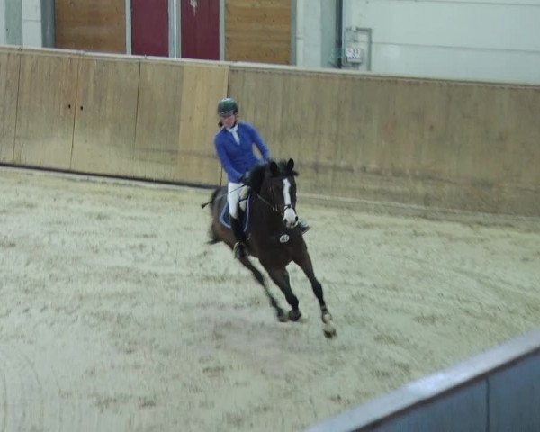 Reitturnier Prussendorf 2019