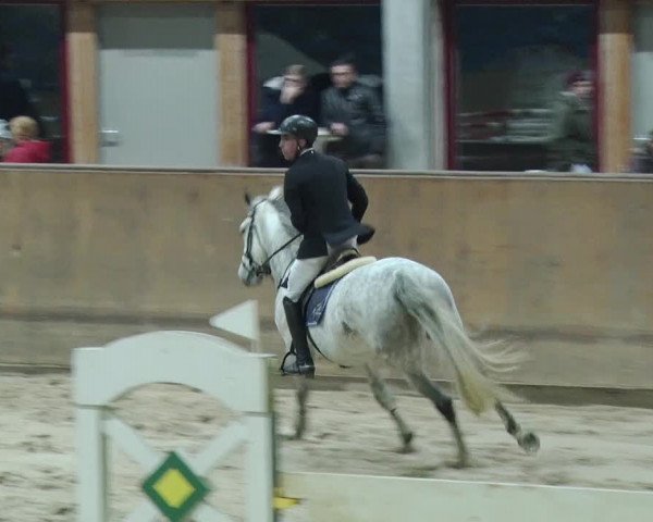 Reitturnier Prussendorf 2019