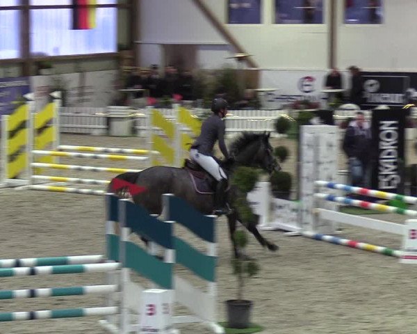 Nordic Jumping events 2019