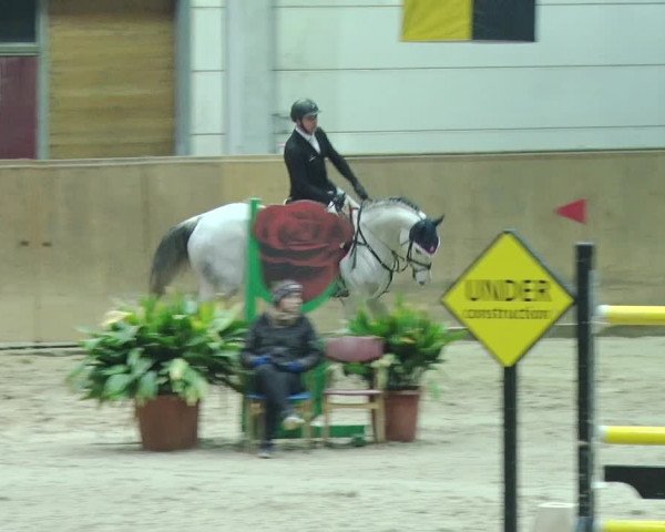 Reitturnier Prussendorf 2019