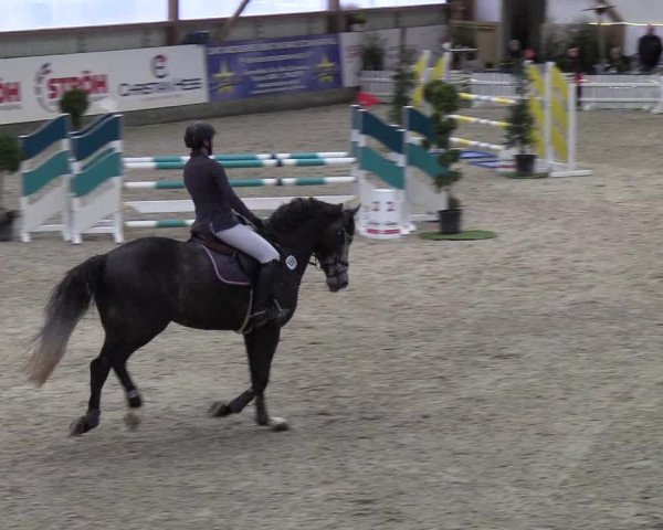 Nordic Jumping events 2019