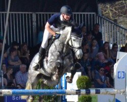 jumper Specialist (Holsteiner, 2010, from Skyros)