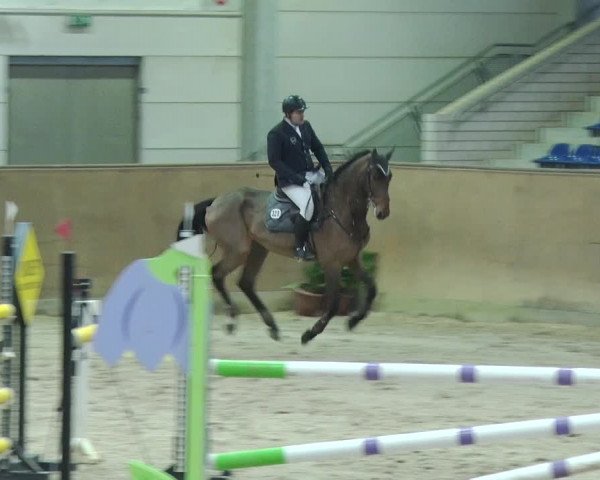 Reitturnier Prussendorf 2019
