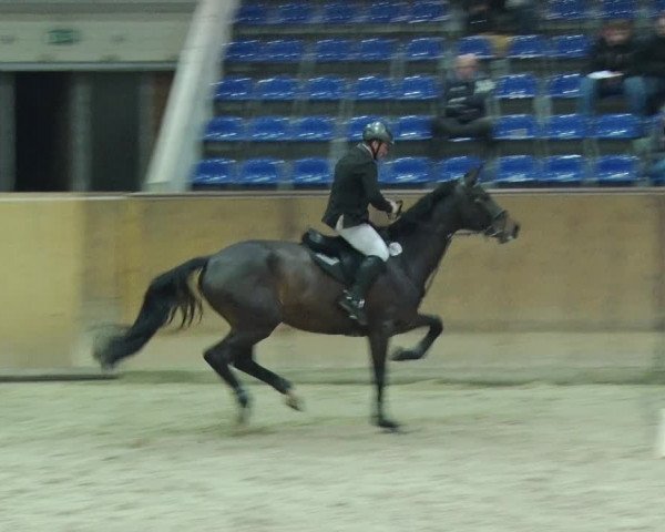 Reitturnier Prussendorf 2019