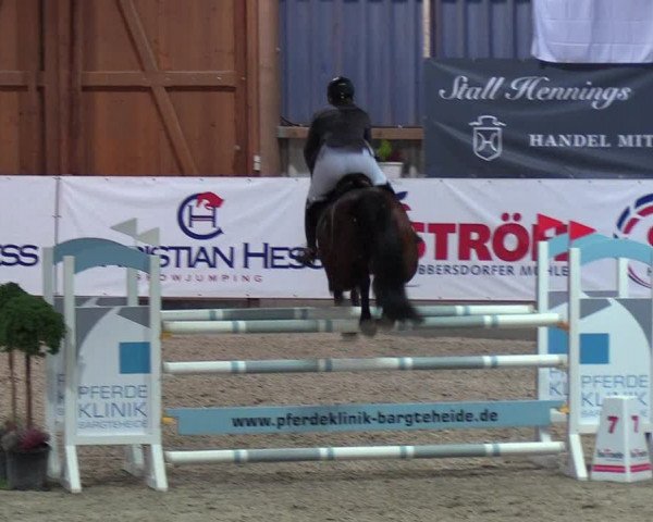 Nordic Jumping events 2019