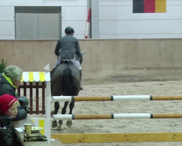 Reitturnier Prussendorf 2019