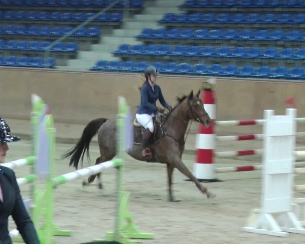 Reitturnier Prussendorf 2019
