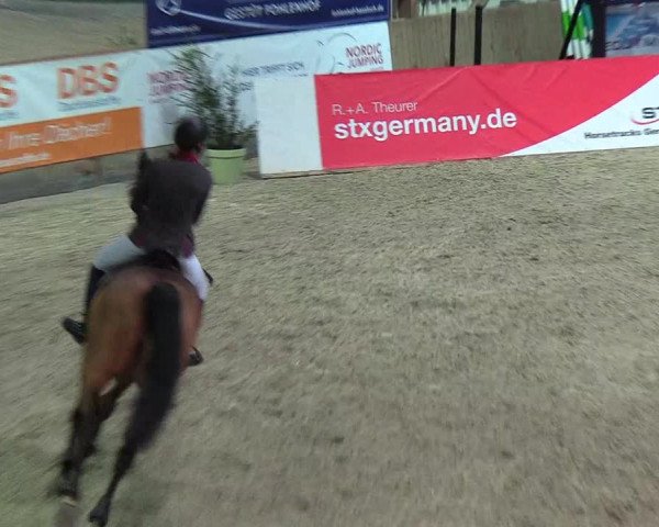 Nordic Jumping events 2019