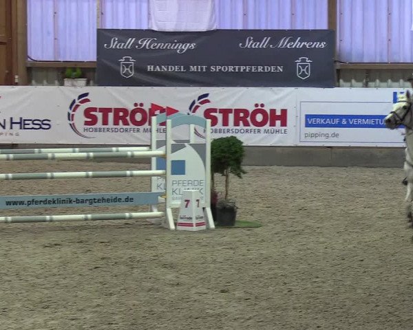 Nordic Jumping events 2019